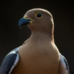 family-corporation-gift-tax-reduction-guide-thumb