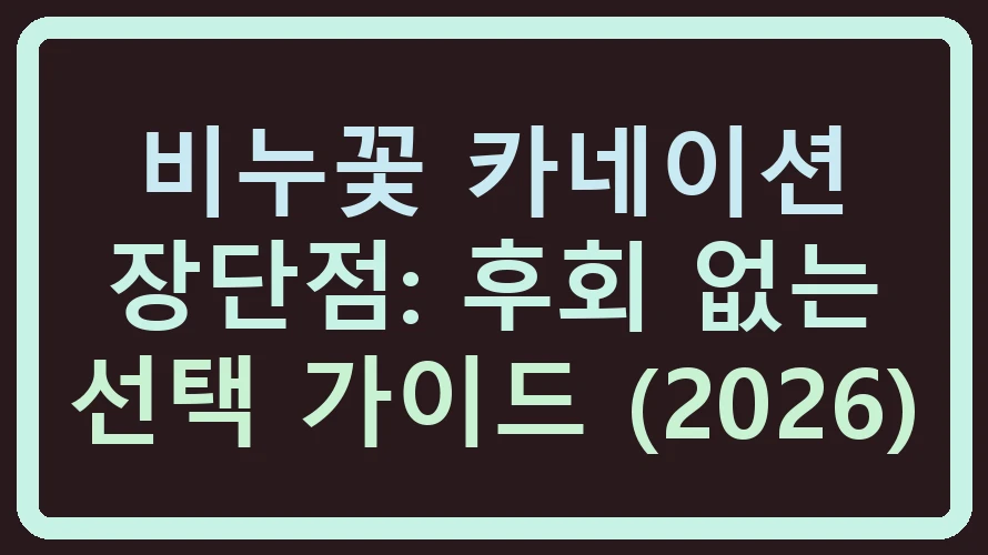 비누꽃 카네이션 장단점 비교 분석 이미지